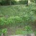 Floreasca - Frederic Chopin, apartament 2 camere mobilate si utilate